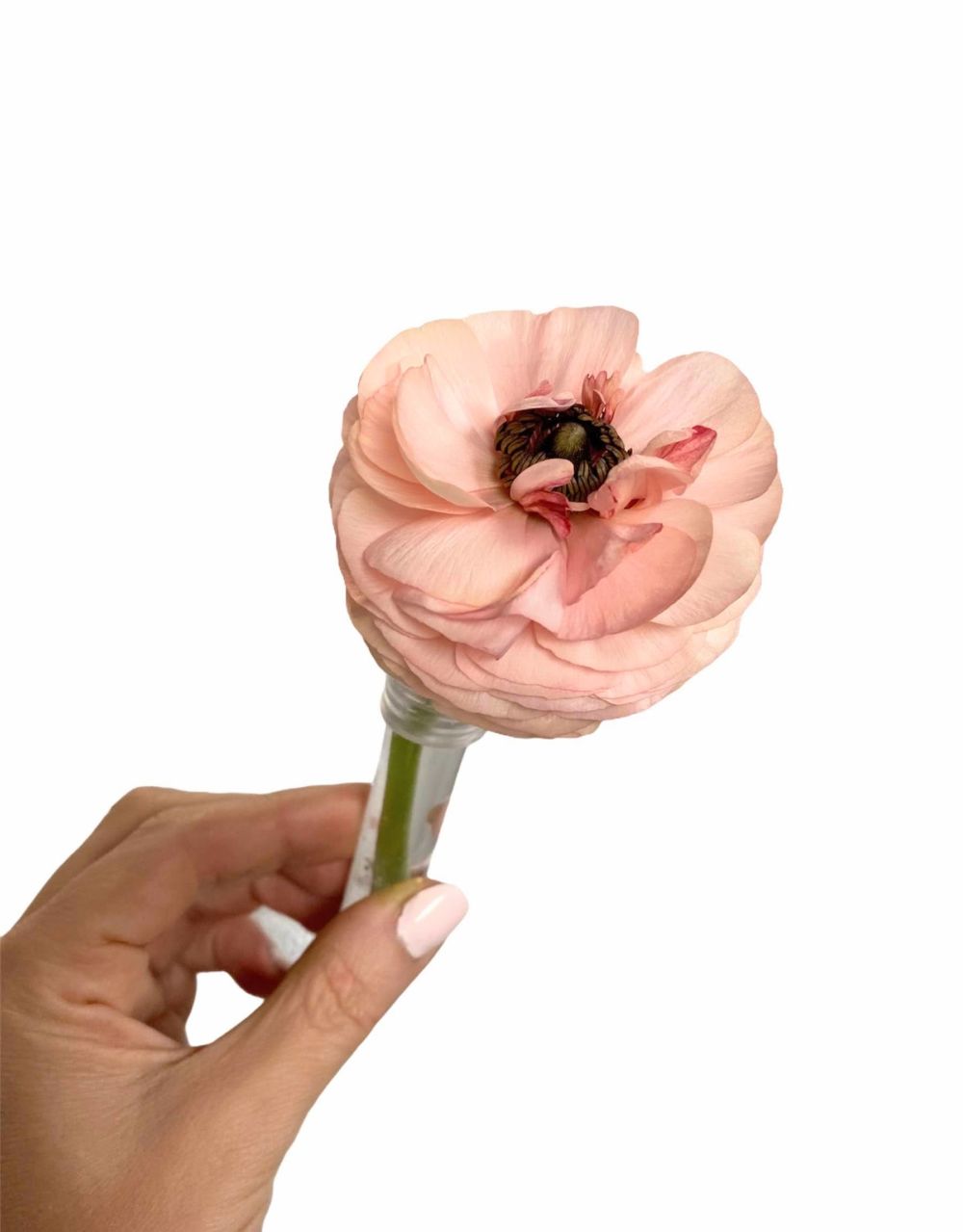 Single bloom in water tube